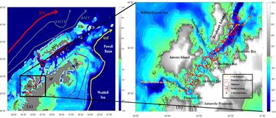 Long-Term Warm–Cold Phase Shifts in the Gerlache Strait, Western Antarctic Peninsula